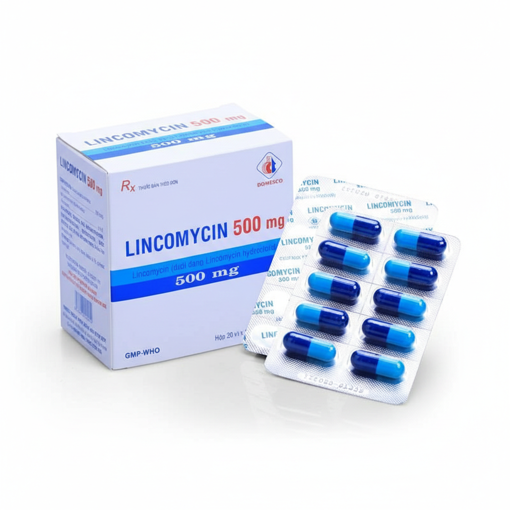 Thuốc Lincomycin 500mg Domesco điều trị các chứng nhiễm khuẩn (20 vỉ x 10 viên)